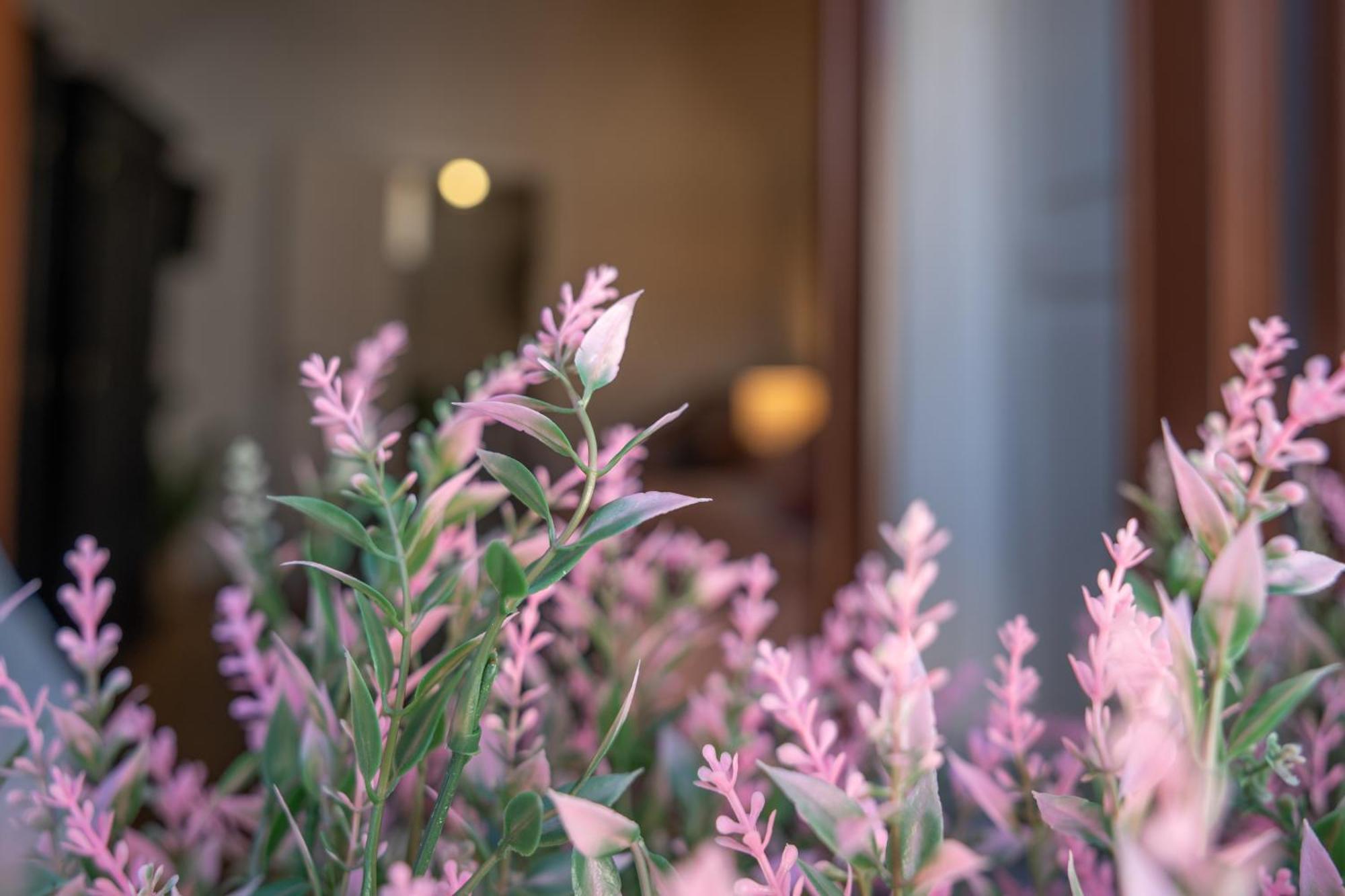 Mirone - Suite Apartments Catania Centro Zewnętrze zdjęcie